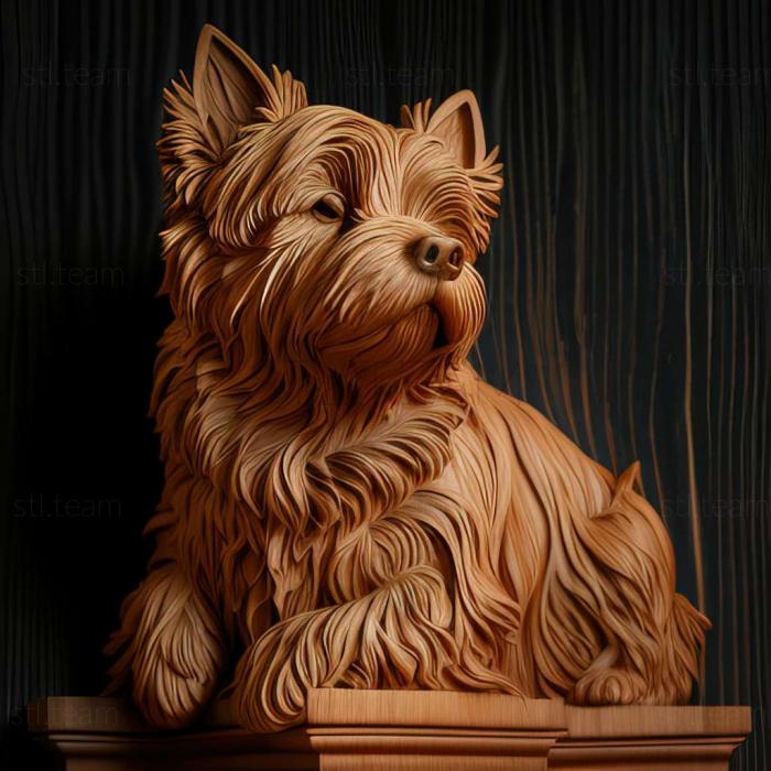 3D model Dandy Dinmont Terrier dog (STL)